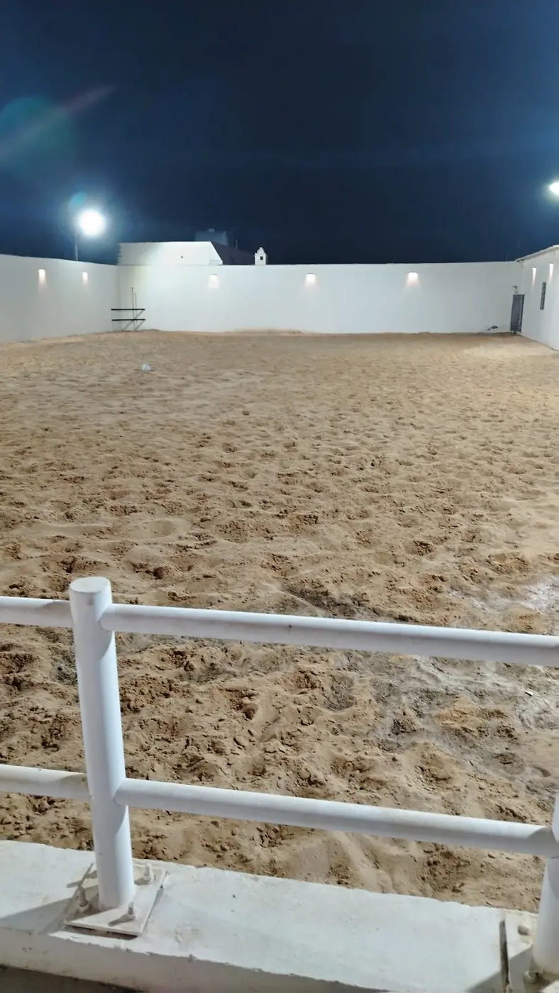 بادوك تدريب الفروسية في منتجع أكمل