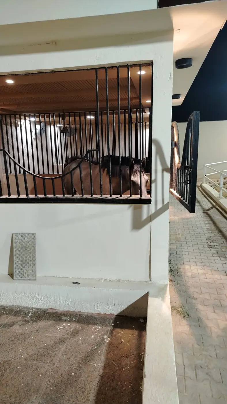 غرف الخيل في منتجع أكمل